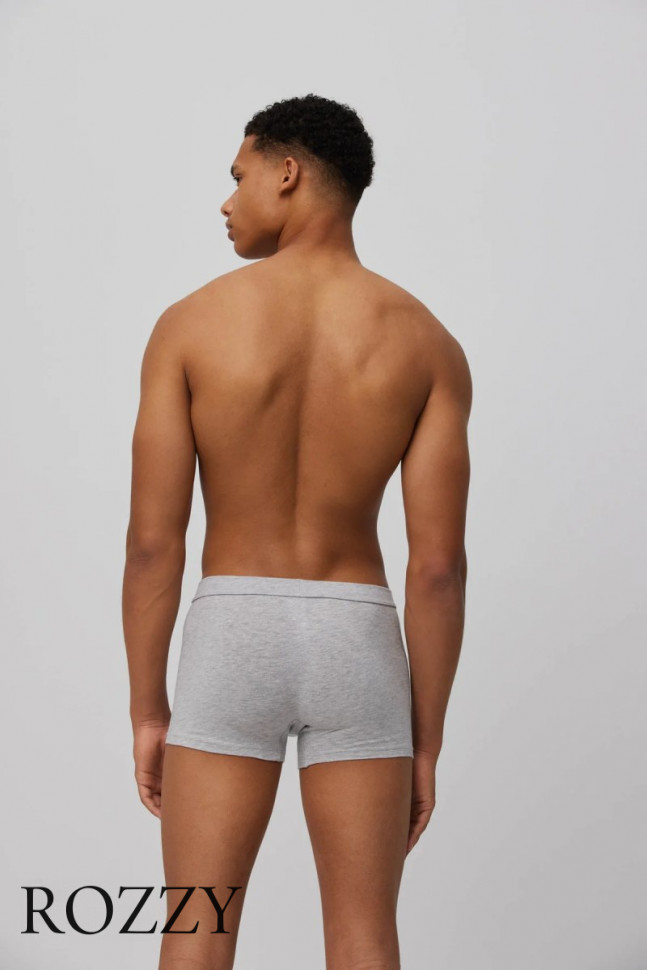 Трусы шорты мужские Ysabel Mora 20151 серый