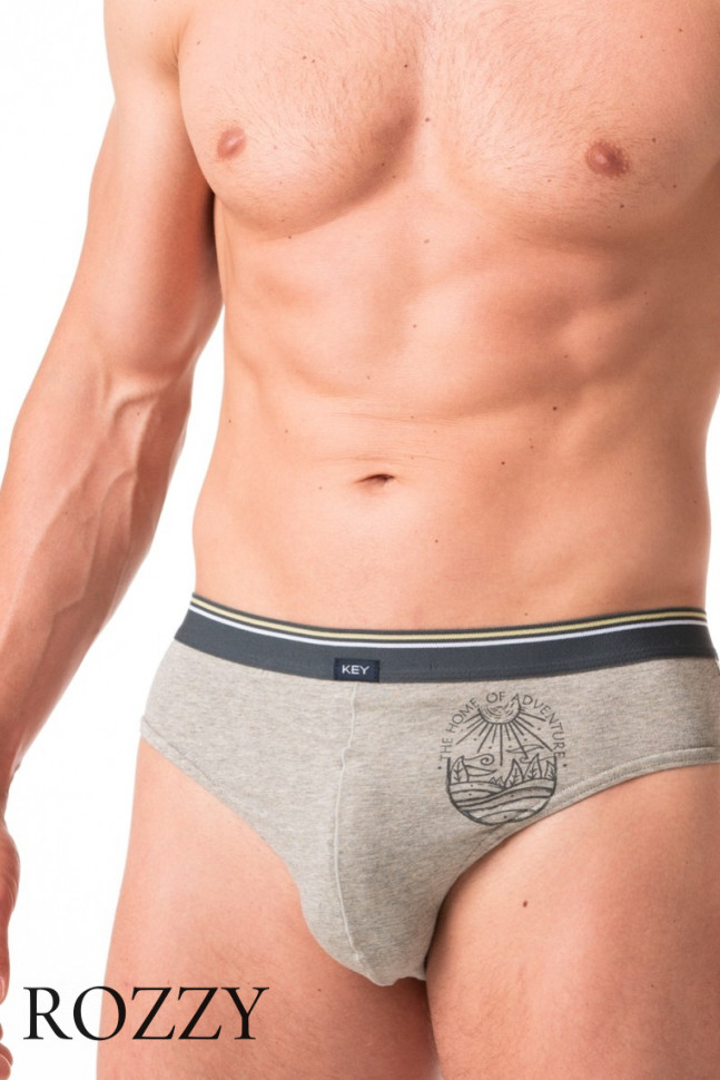 Трусы слипы мужские Key MPP 776 A24 светло-серый/синий (уп.2шт.)