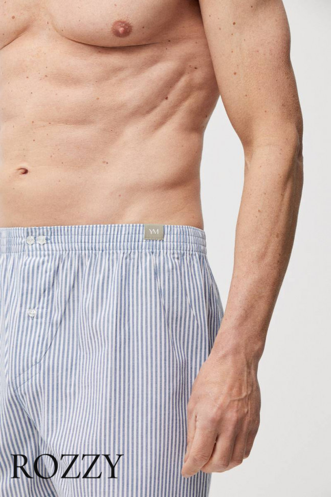 Трусы боксеры мужские Ysabel Mora 20302 серый