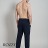Брюки мужские хлопковые Ceceba 030052/4XL тёмно-синий