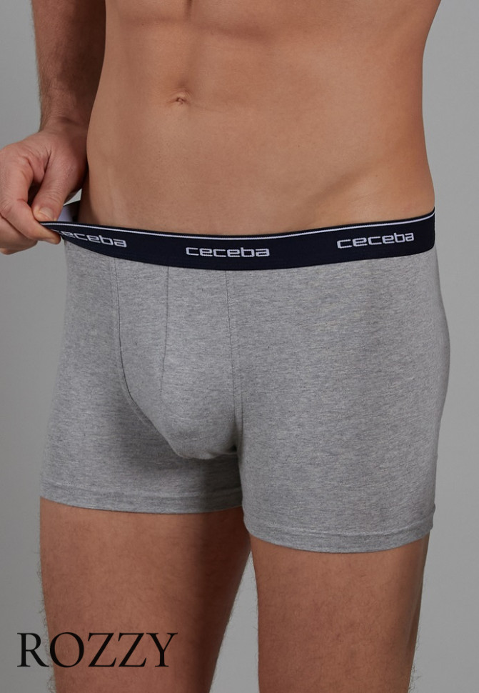 Трусы шорты мужские Ceceba 010162/M-3XL серый/синий (уп.2шт.)