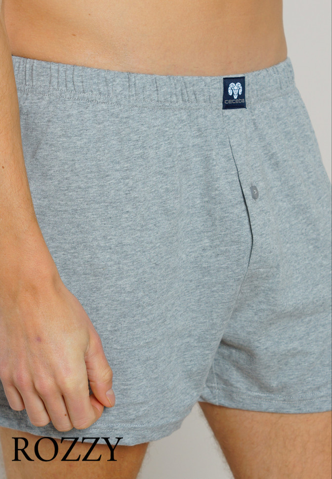 Трусы боксеры мужские Ceceba 002675/3XL-4XL серый меланж/синий (уп.2шт.)