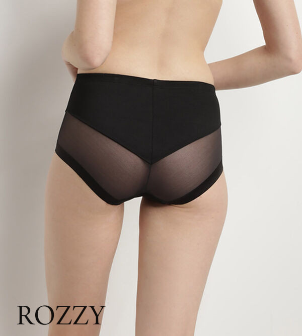 Трусы макси DIM Generous Classic 09A1 черный