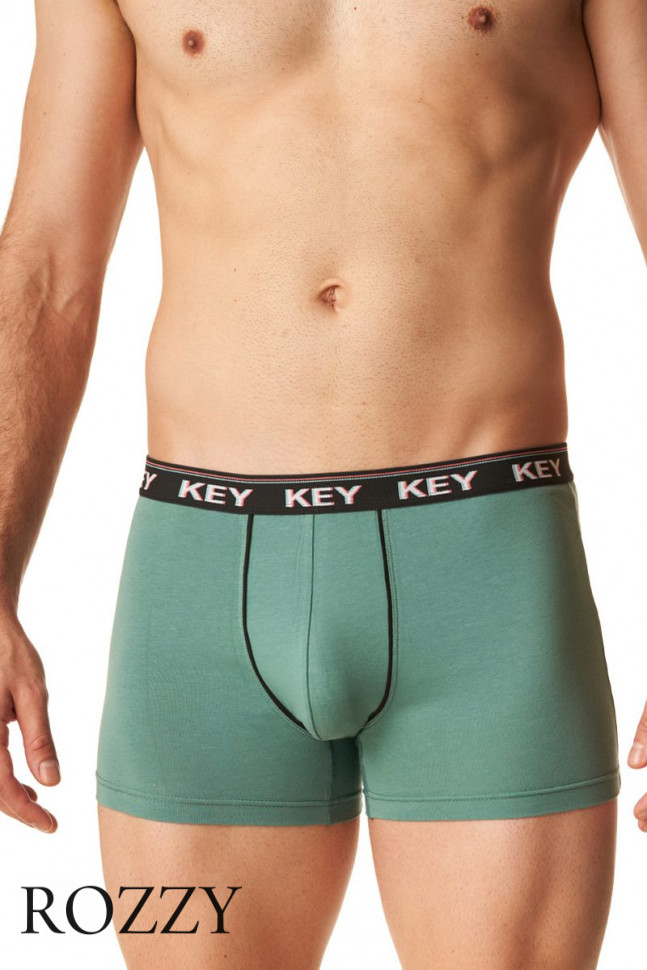 Трусы шорты мужские Key MXH 248 серо-зеленый