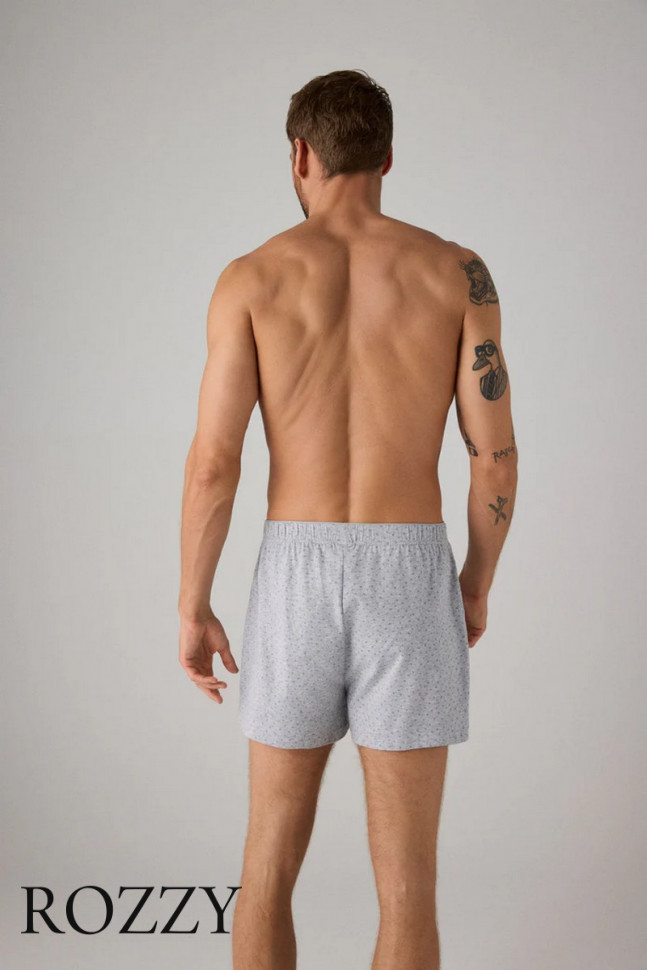 Трусы боксеры мужские Ysabel Mora 20373 светло-серый