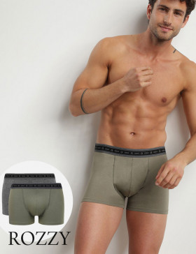 Трусы шорты мужские DIM 0DI3 серый/зеленый (уп.2шт.)